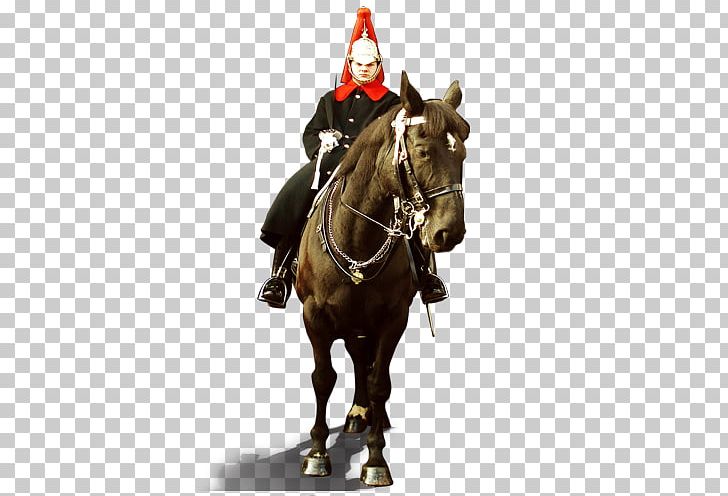 Horse Middle Ages Crusades Equestrianism PNG, Clipart, Bit, English Riding, Equestrian, Equestrian Sport, Fantasy Free PNG Download