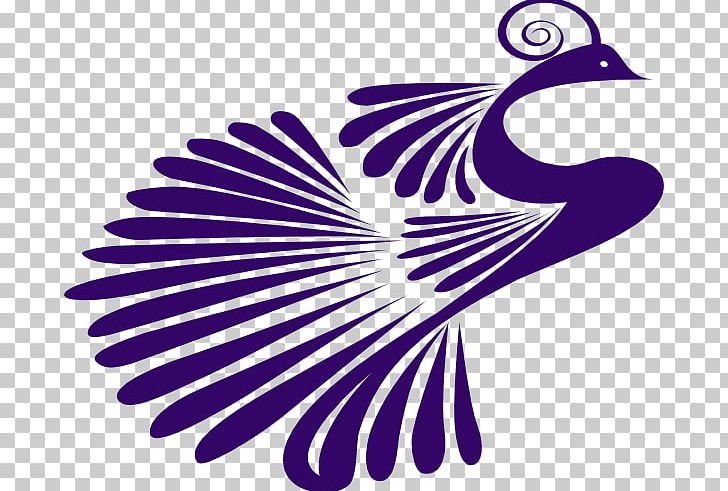 Purple Innovation Pavo PNG, Clipart, Beak, Bird, Clip Art, Drawing, Feather Free PNG Download