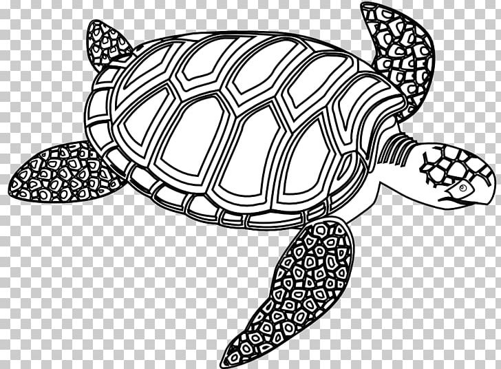 Sea Turtle Black And White Seahorse PNG, Clipart, Art, Artwork, Black And White, Color, Drawing Free PNG Download