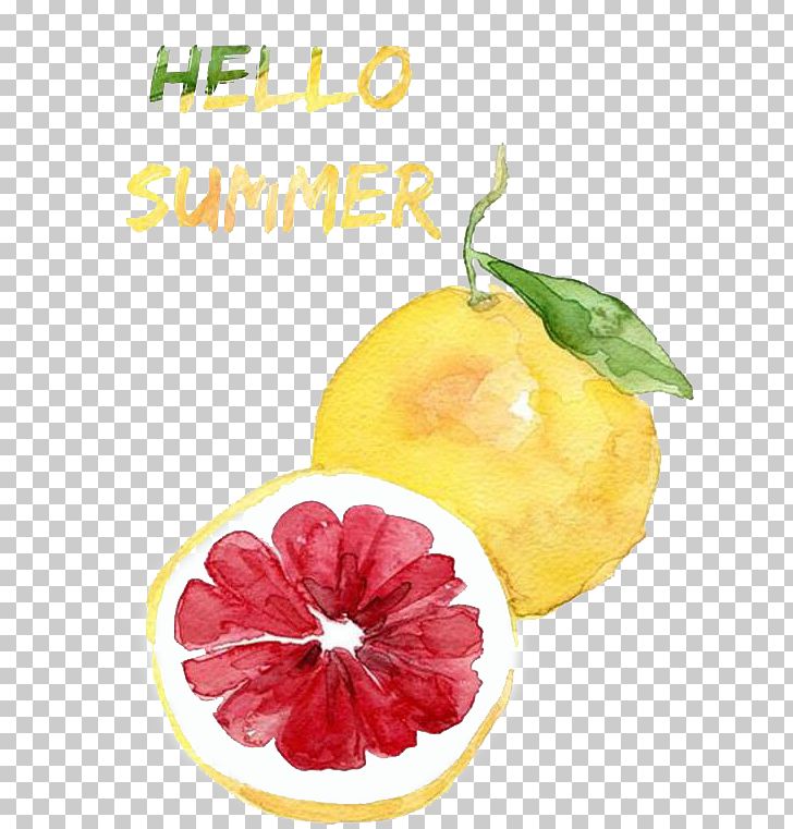 Watercolor Painting Grapefruit Drawing PNG, Clipart, Art, Citric Acid, Citrus, Diet Food, Drinks Free PNG Download
