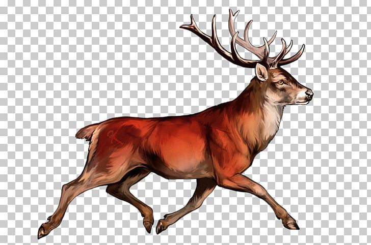 White-tailed Deer Irish Elk Red Deer Reindeer PNG, Clipart, Animal, Antler, Cartoon, Chital, Deer Free PNG Download