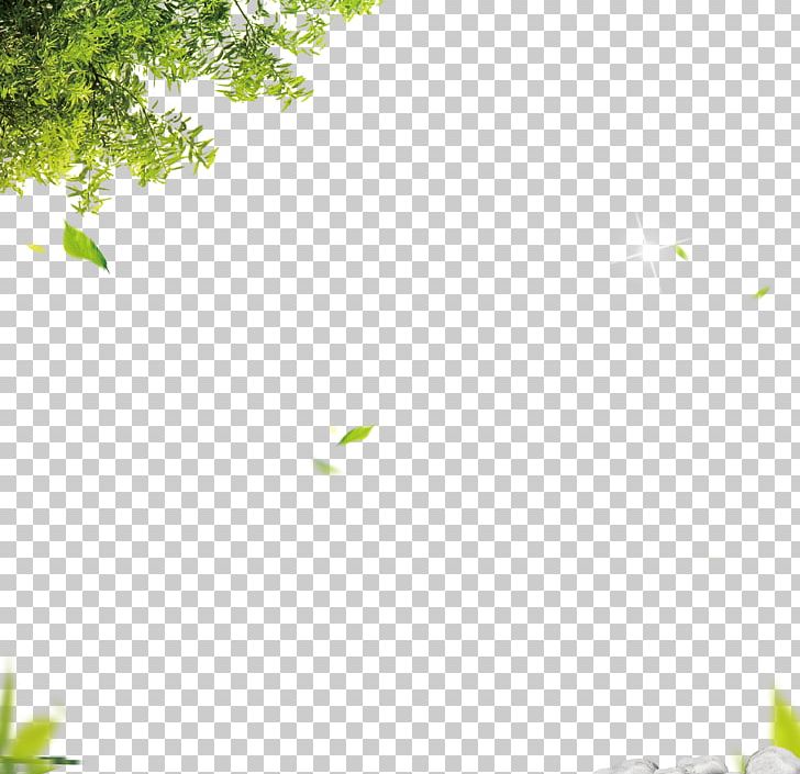 Leaf Green Computer File PNG, Clipart, Angle, Area, Autumn Leaves, Background, Background Green Free PNG Download