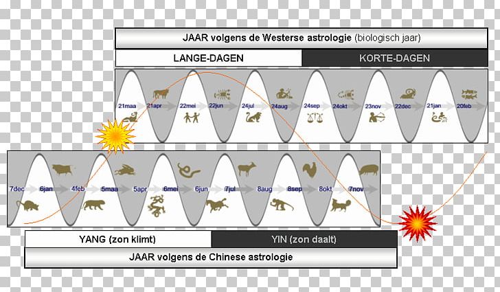 Paper Line Technology Angle Diagram PNG, Clipart, Angle, Animated Cartoon, Area, Art, Astrologie Free PNG Download