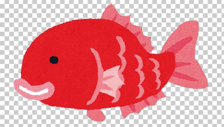 Stock Photography Illustration PNG, Clipart, Blog, Fish, Go Fishing, Organism, Photography Free PNG Download