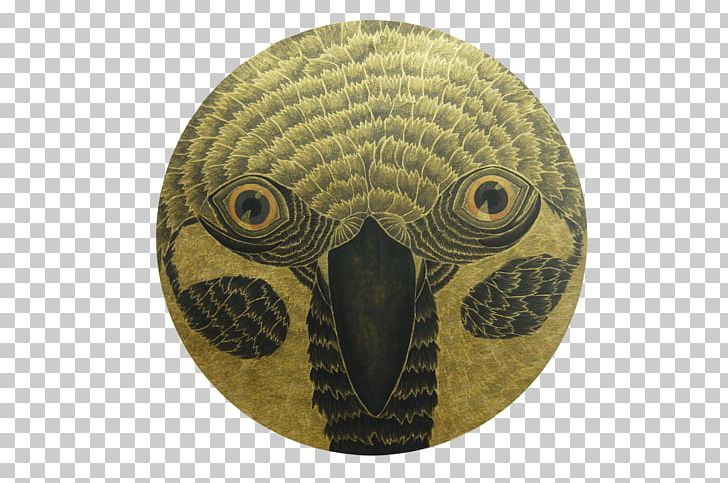 Beak Fauna PNG, Clipart, Beak, Fauna, Hsinchu, Others Free PNG Download