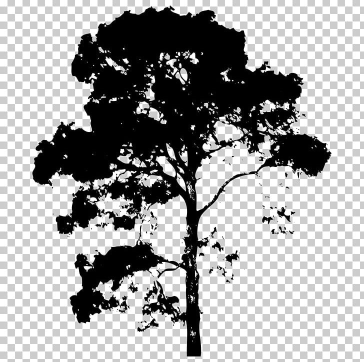 Branch Tree Drawing PNG, Clipart, Anleggsgartner, Arte, Black And White, Branch, Corel Free PNG Download
