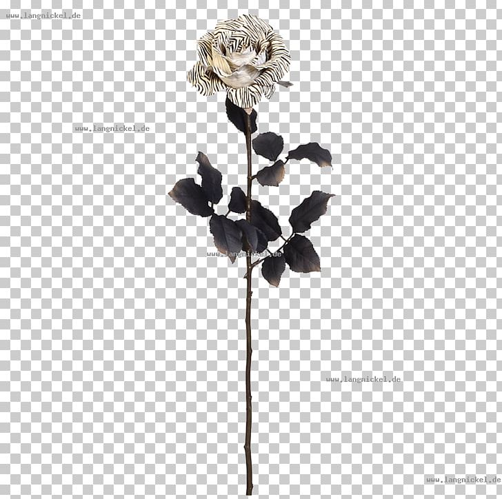 Twig Rose Family Plant Stem White PNG, Clipart, Black And White, Branch, Family, Flora, Flower Free PNG Download