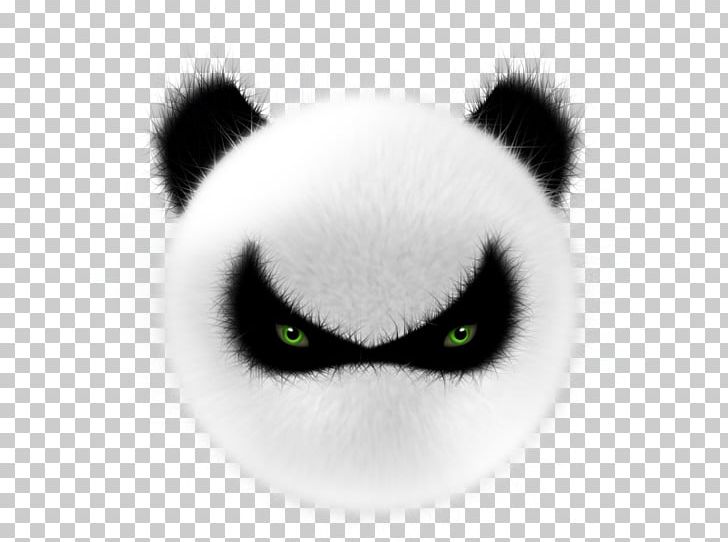 Giant Panda Animation Illustration PNG, Clipart, 3d Computer Graphics, Angry Birds, Angry Boy, Angry Girl, Angry Man Free PNG Download