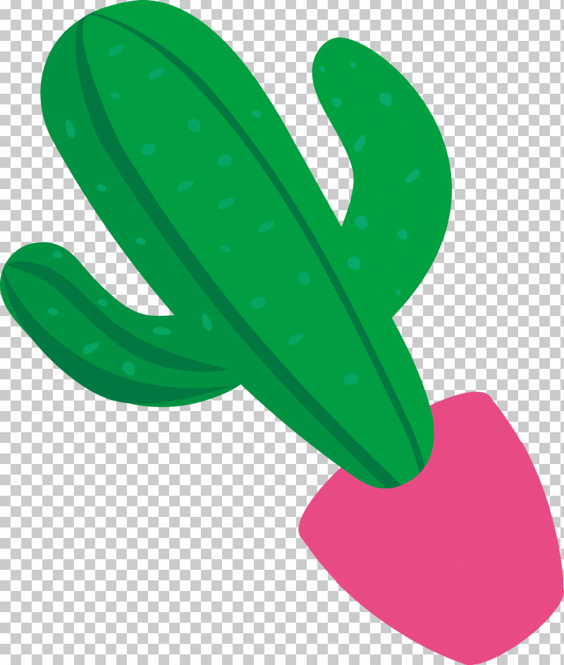 Mexico Element PNG, Clipart, Algae, Alocasia, Alocasia Odora, Biology, Cactus Free PNG Download