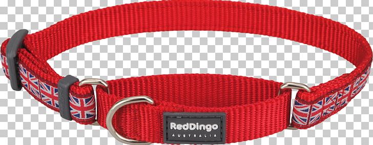 Dog Collar Dingo Dog Collar Martingale PNG, Clipart, Belt, Belt Buckle, Belt Buckles, Buckle, Cat Free PNG Download