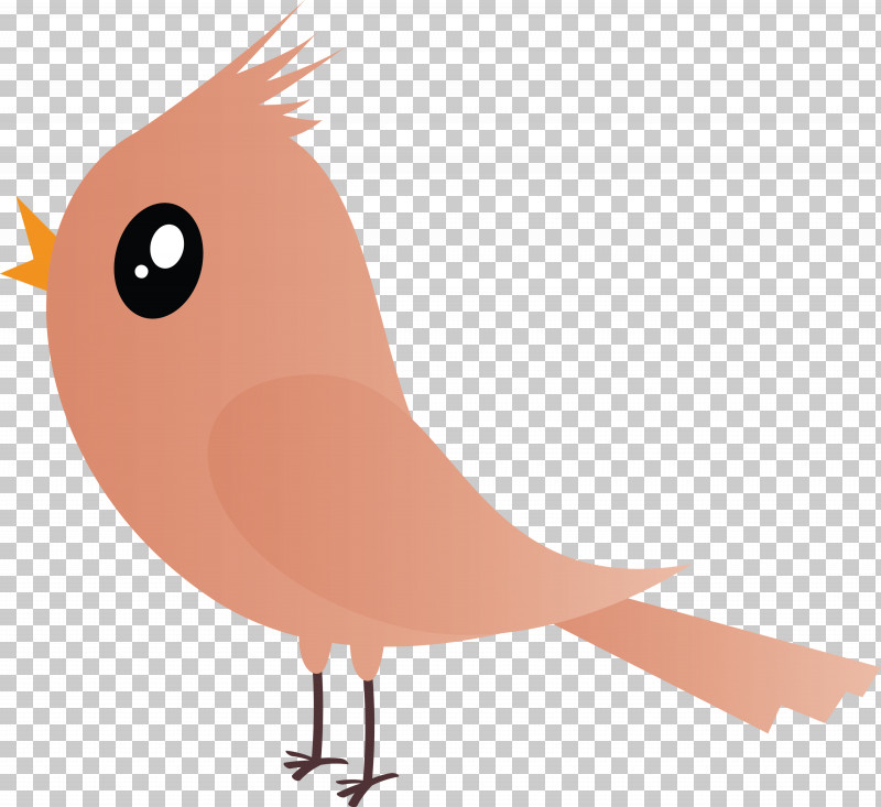 Bird Cartoon Beak European Robin Tail PNG, Clipart, Animation, Beak, Bird, Cartoon, Cartoon Bird Free PNG Download