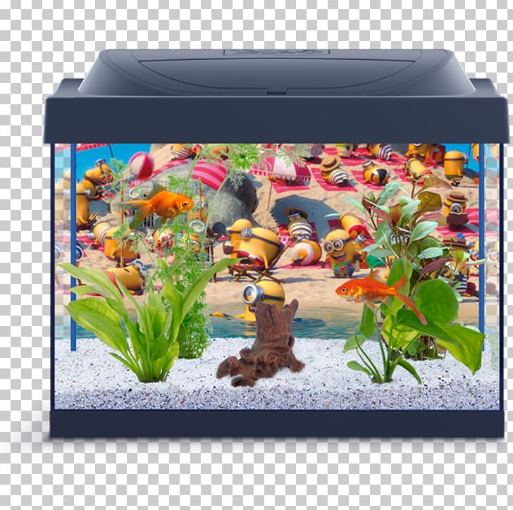 Aquariums Tetra Fishkeeping Heater PNG, Clipart, Animals, Aquarium, Aquarium Decor, Aquarium Lighting, Aquariums Free PNG Download