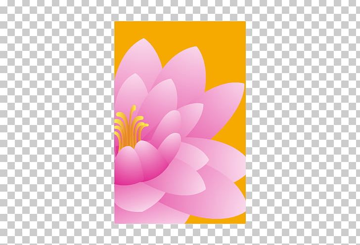 Dahlia Rectangle PNG, Clipart, Dahlia, Flower, Flowering Plant, Magenta, Others Free PNG Download