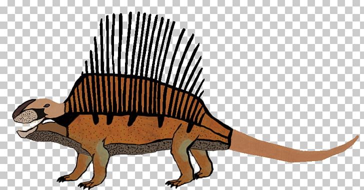 Dimetrodon Euparkeria Diplocaulus Ophiacodon Synapsid PNG, Clipart, Animal, Animal Figure, Carnivora, Carnivoran, Com Free PNG Download