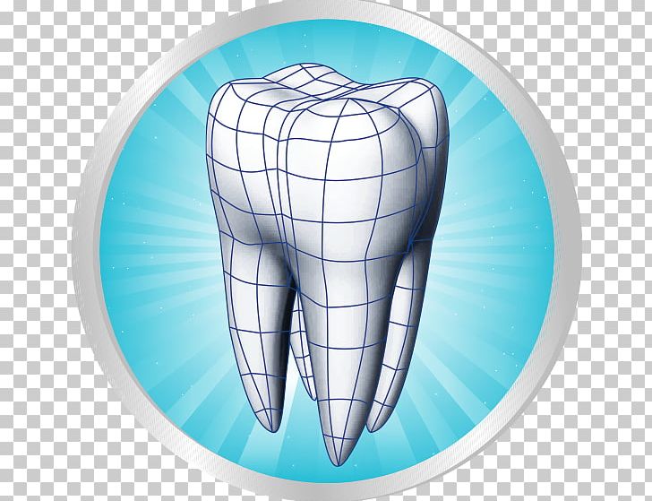 Human Tooth Dentistry Scientific Modelling Periodontium PNG, Clipart, 3d Computer Graphics, 2017, Dental Restoration, Dentistry, Guttapercha Free PNG Download