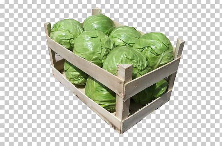Romaine Lettuce Brussels Sprout Spring Greens Cruciferous Vegetables PNG, Clipart, Brussels Sprout, Cruciferous Vegetables, Food, Herb, Leaf Vegetable Free PNG Download