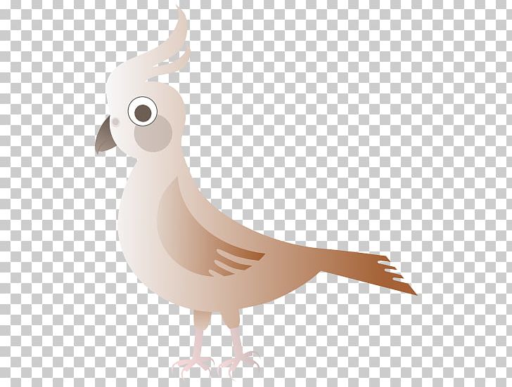 Umbrellabird Chicken PNG, Clipart, Beak, Bird, Bird Umbrella Cliparts, Cartoon, Chicken Free PNG Download