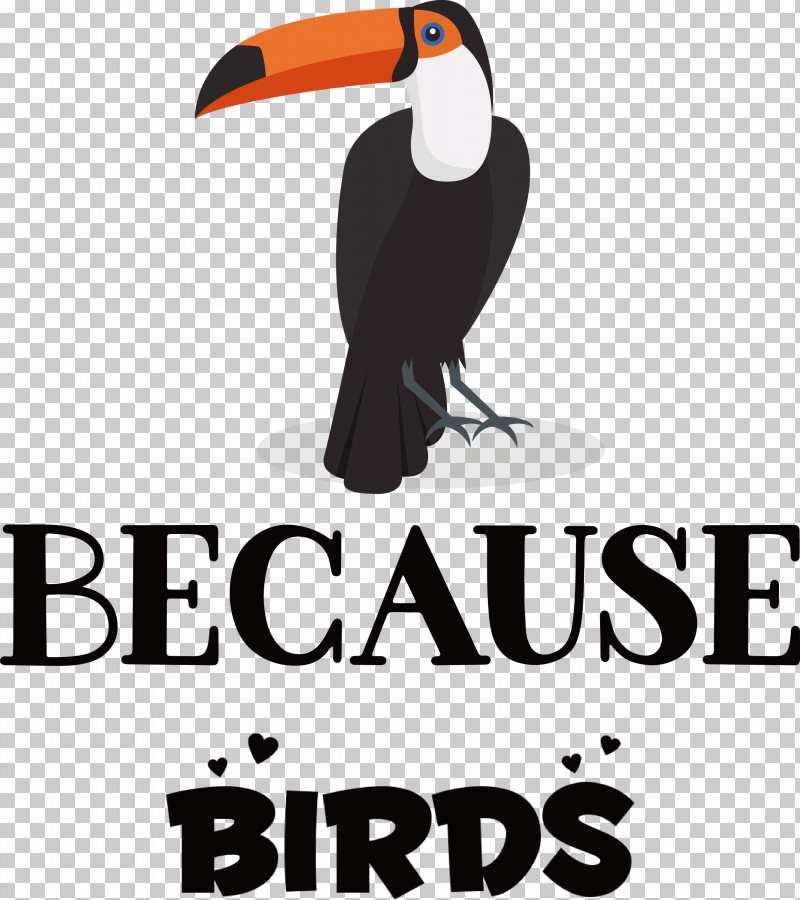 Because Birds Bird Animal PNG, Clipart, Animal, Beak, Biology, Bird, Birds Free PNG Download