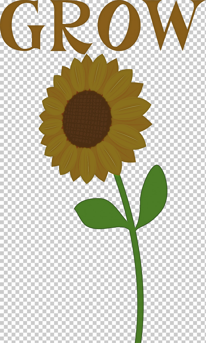 GROW Flower PNG, Clipart, Flower, Grow, Logo, Social Media, Sunburst Free PNG Download