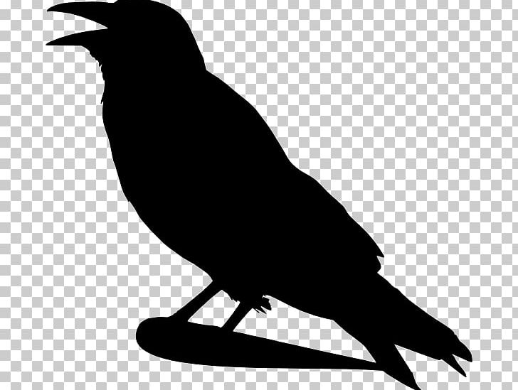 Bird Crow Silhouette PNG, Clipart, American Crow, Animals, Art, Beak, Bird Free PNG Download