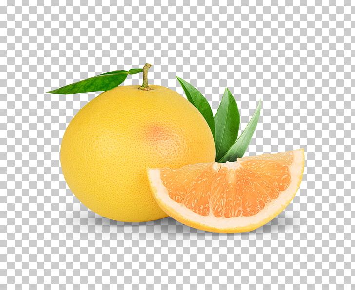 Clementine Grapefruit Tangerine Mandarin Orange Tangelo PNG, Clipart, Bitter Orange, Blood Orange, Citric Acid, Citron, Citrus Free PNG Download