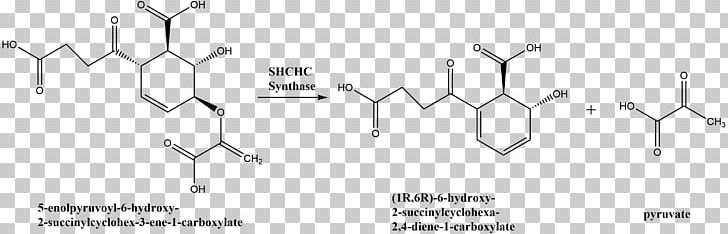 Dextroamphetamine Purple Coneflower Beta-Carotene PNG, Clipart, Amphetamine, Angle, Betacarotene, Black And White, Carotene Free PNG Download