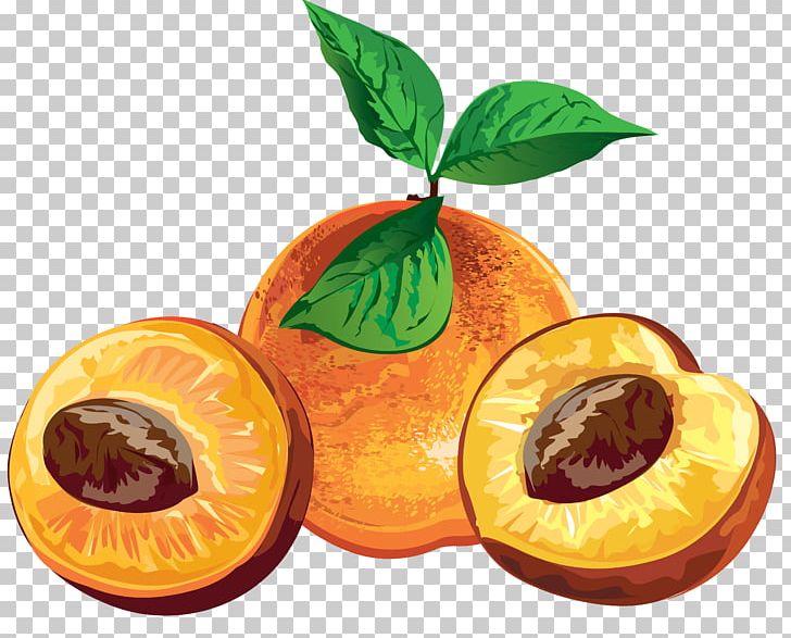 Fruit Label PNG, Clipart, Art, Berry, Citrus, Clementine, Diet Food Free PNG Download