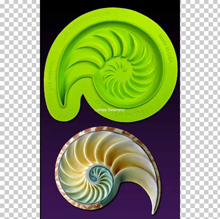 Mold Seashell Fondant Icing Cake Decorating PNG, Clipart, Animals, Cake, Cake Decorating, Chocolate, Conch Free PNG Download
