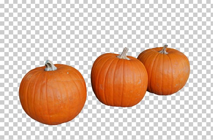 Pumpkin Stock Photography Photo Manipulation PNG, Clipart, Calabaza, Cucurbita, Deviantart, Gourd, Halloween Free PNG Download