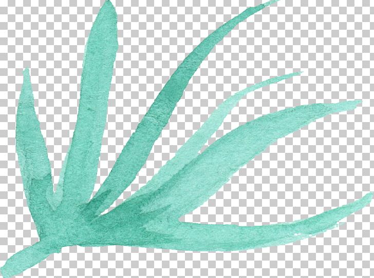 Turquoise Leaf Teal Feather PNG, Clipart, Aqua, Com, Download, Feather, Leaf Free PNG Download