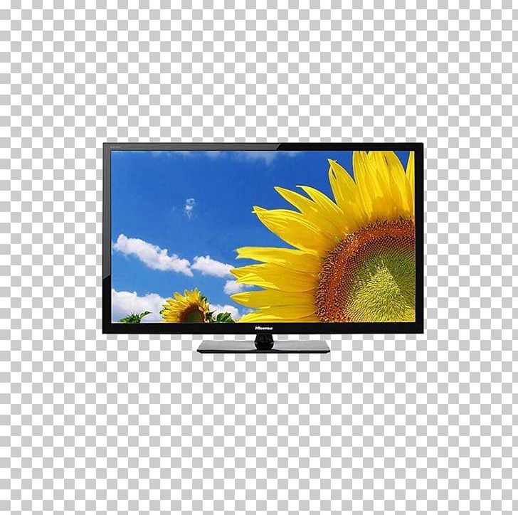 LED-backlit LCD High-definition Television 1080p Display Resolution PNG, Clipart, Appliance, Brand, Flower, Grass, Hisense Free PNG Download