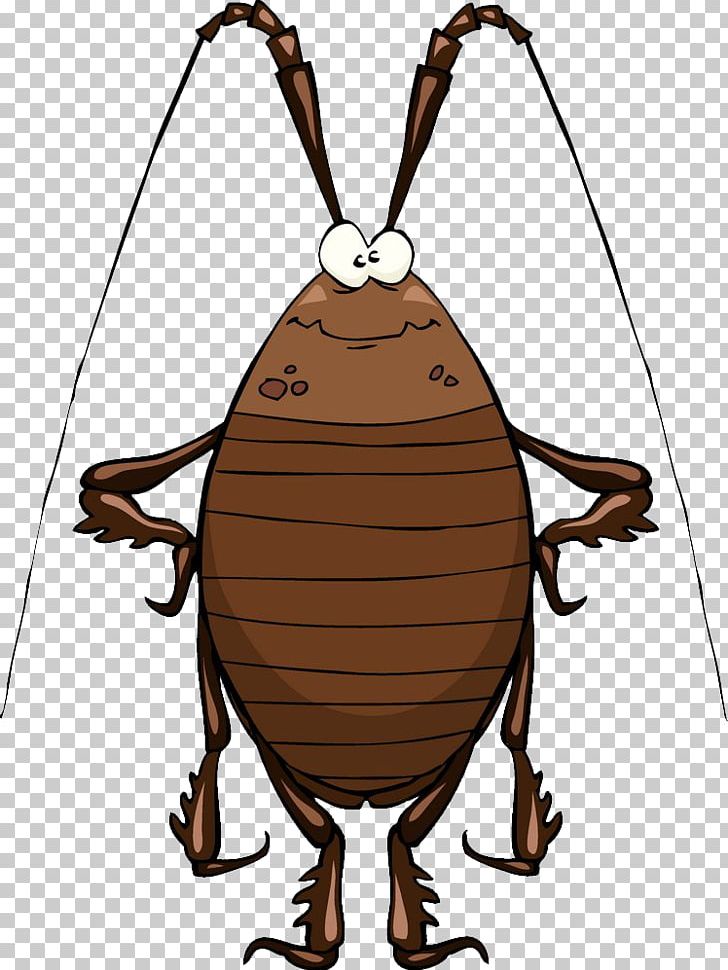 Cockroach Cartoon Stock Illustration PNG, Clipart, American Cockroaches, Animals, Brown Cockroach, Cockroach Chef, Cockroaches Free PNG Download