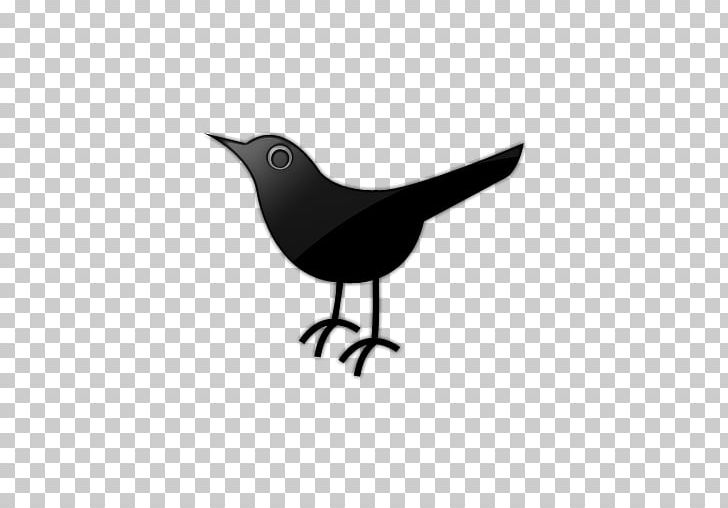 Computer Icons Social Media Social Bookmarking PNG, Clipart, American Crow, Beak, Bird, Bird Icon, Bird Logo Free PNG Download