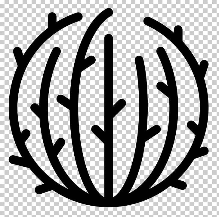 Computer Icons Tumbleweed Cactaceae PNG, Clipart, Black And White, Cactaceae, Circle, Clip Art, Computer Icons Free PNG Download