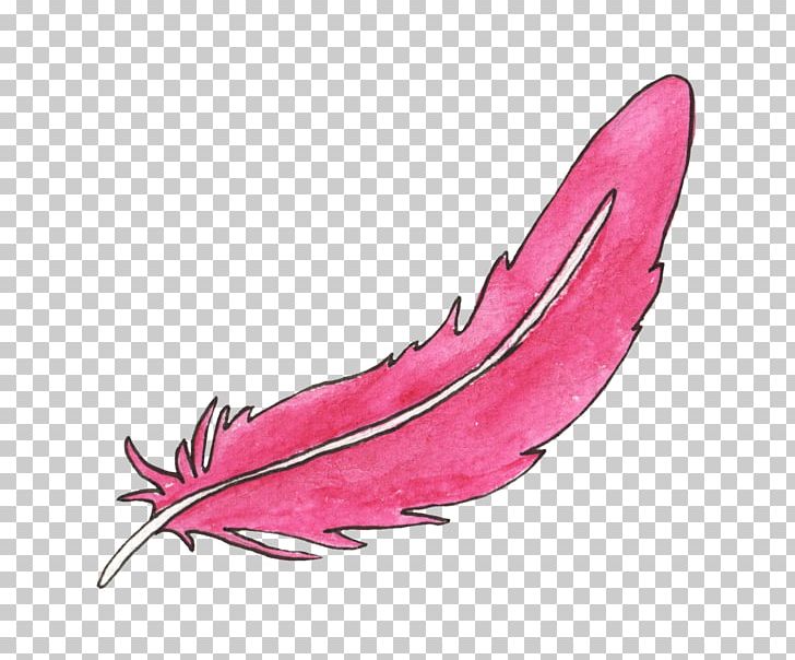 Feather Bird Animal PNG, Clipart, Animal Feather, Animals, Butterfly, Download, Drawing Free PNG Download