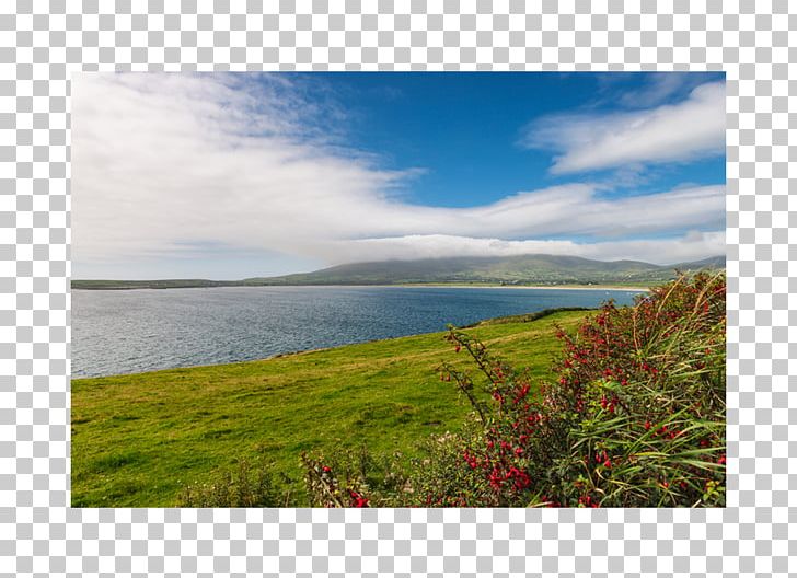 Land Lot Loch Real Property Sky Plc PNG, Clipart, Bay, Cloud, Coast, Grass, Horizon Free PNG Download