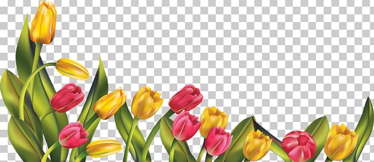 Tulip Flower PNG, Clipart, Computer Wallpaper, Cut Flowers, Display Resolution, Download, Encapsulated Postscript Free PNG Download