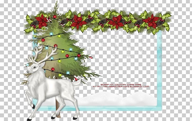 Christmas Ornament Christmas Tree Fir PNG, Clipart, Antler, Aquifoliales, Branch, Christ, Christmas Free PNG Download