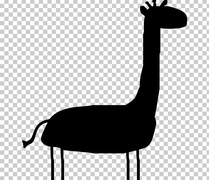 Giraffe Bird Neck PNG, Clipart, Animals, Beak, Bird, Black And White, Chair Free PNG Download