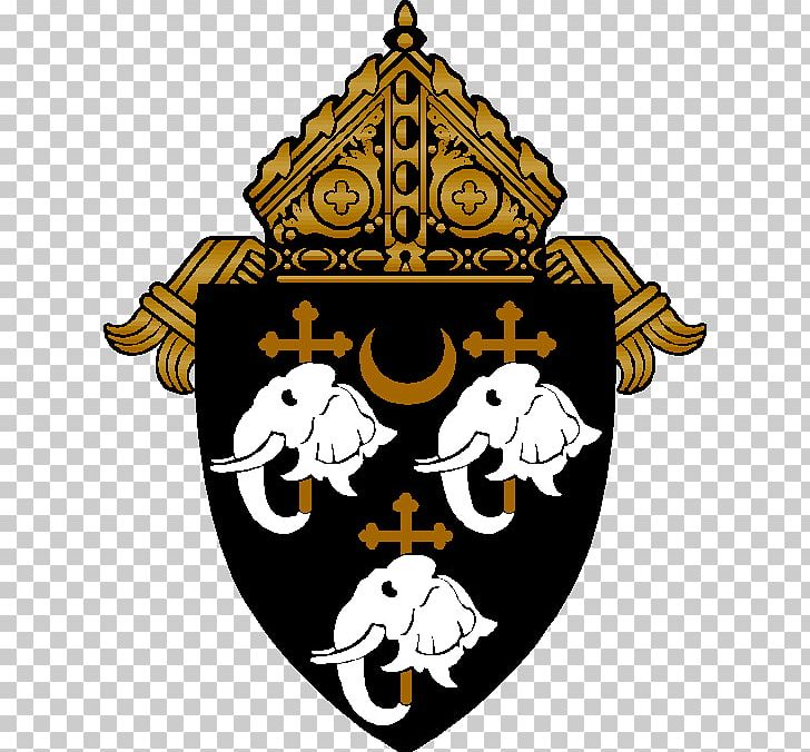 Roman Catholic Diocese Of Camden Bishop Parish St. Joseph Pro-Cathedral PNG, Clipart, Bishop, Blackwood, Camden, Catholicism, Christian Ministry Free PNG Download