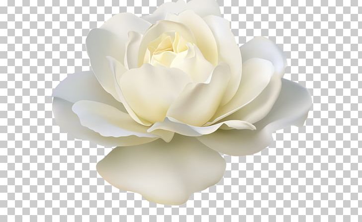 Rose White Artificial Flower PNG, Clipart, Artificial Flower, Beautiful, Botanical Illustration, Cut Flowers, Flower Free PNG Download
