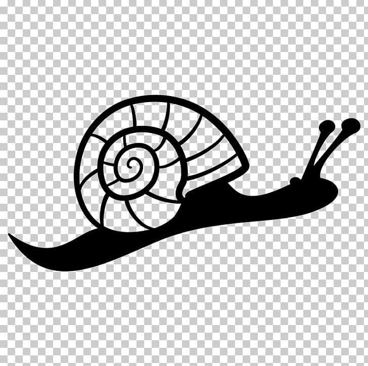 Sea Snail Molluscs PNG, Clipart, Animal, Animals, Artwork, Black And White, Cartoon Free PNG Download