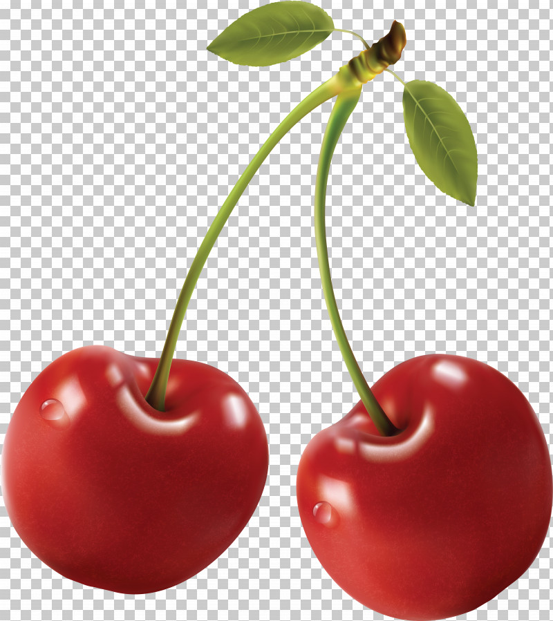Cherry Royalty-free Fruit Berry PNG, Clipart, Berry, Cherry, Fruit, Royaltyfree, Sour Cherry Free PNG Download