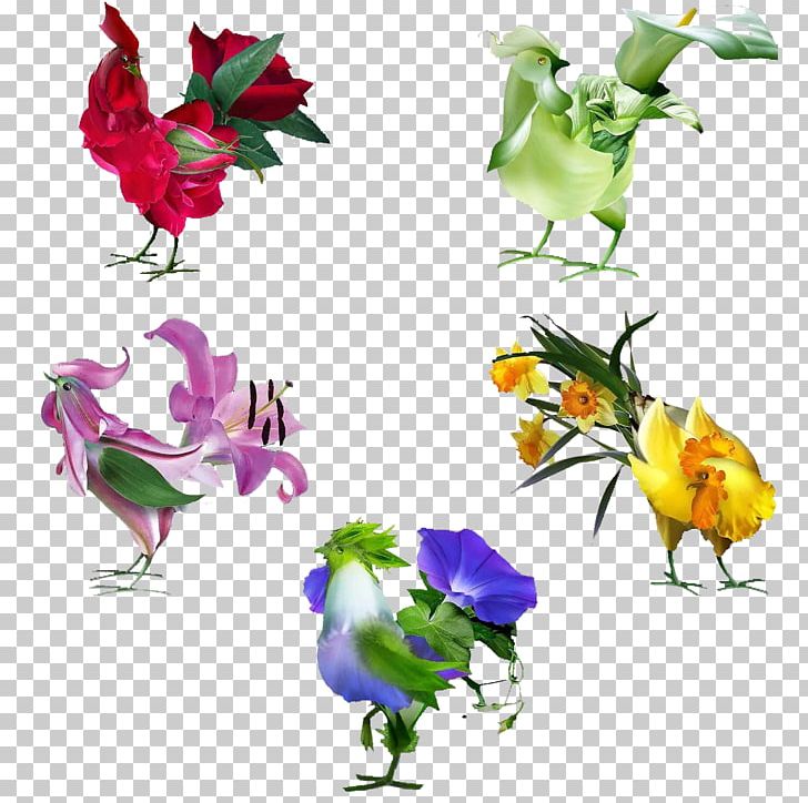 Chicken Meat Rooster PNG, Clipart, Advertising, Animals, Beak, Bird, Branch Free PNG Download