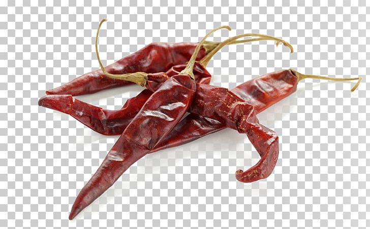 Chile De Xe1rbol Guajillo Chili Chili Pepper Chiles En Nogada Pasilla PNG, Clipart, Animal Source Foods, Background, Bell Peppers And Chili Peppers, Capsicum, Capsicum Annuum Free PNG Download