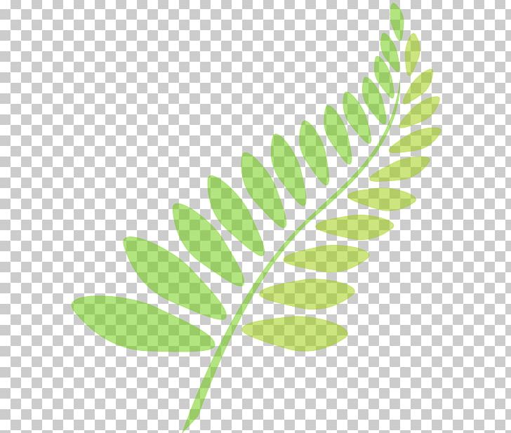 Drawing Leaf Jungle PNG, Clipart, Alpsee, Arecaceae, Autumn Leaf Color, Branch, Drawing Free PNG Download