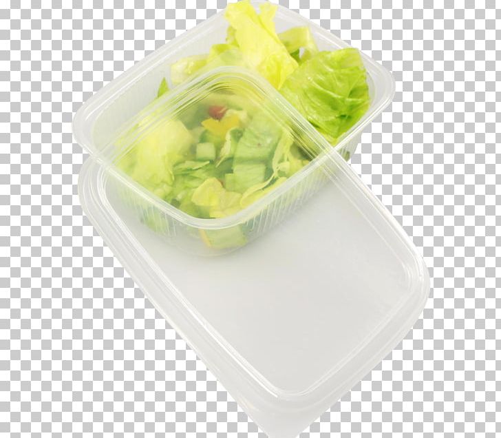 Lettuce Plastic Vegetarian Cuisine Tableware Recipe PNG, Clipart, Cup, Dish, Food, Food Drinks, Leaf Vegetable Free PNG Download
