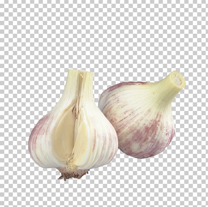 Organic Food Garlic Vegetable Allicin Ingredient PNG, Clipart, Apple Cider Vinegar, Cartoon Garlic, Chili Garlic, Condiment, Elephant Garlic Free PNG Download