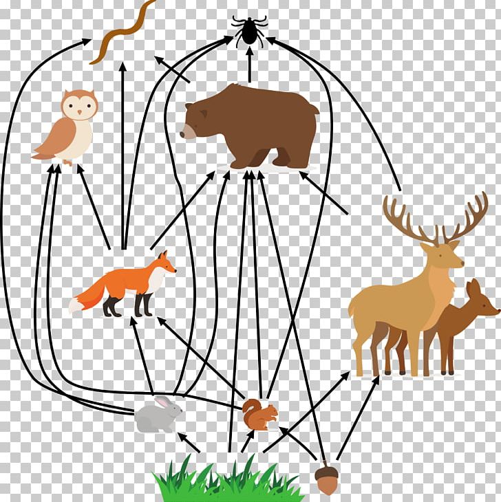 Reindeer Thesis University Of Chicago YouTube PNG, Clipart, Animal, Animal Figure, Animated Film, Antler, Area Free PNG Download