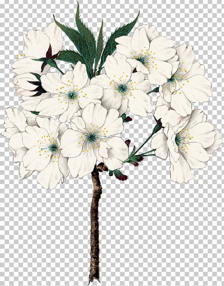 Floral Design Cut Flowers Flower Bouquet Artificial Flower PNG, Clipart, Artificial Flower, Blossom, Branch, Cut Flowers, Floral Design Free PNG Download